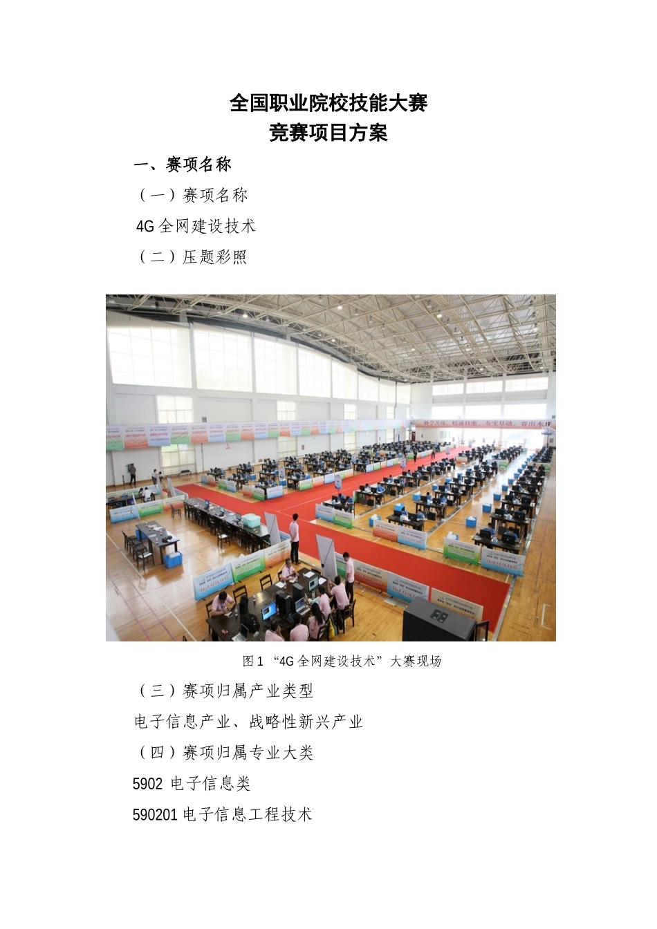 2025年全国职业院校技能大赛竞赛4G全网建设技术项目方案申报书_第2页