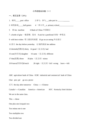 2025年人教版小升初综合训练一英语
