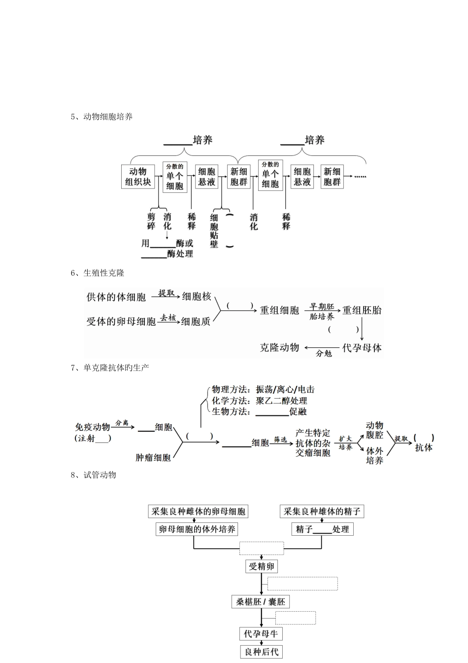 2025年博罗华侨中学选修三基础知识点考查_第2页