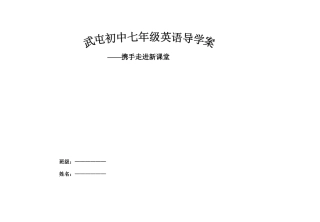 2025年七年级下册英语学案全册