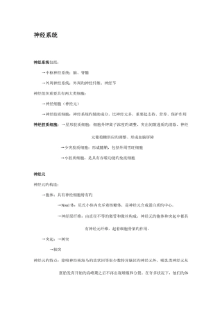 2025年人体神经系统基础知识点及图解