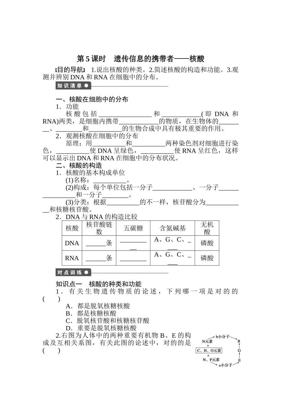 2025年高一生物下册知识点课时作业题_第1页