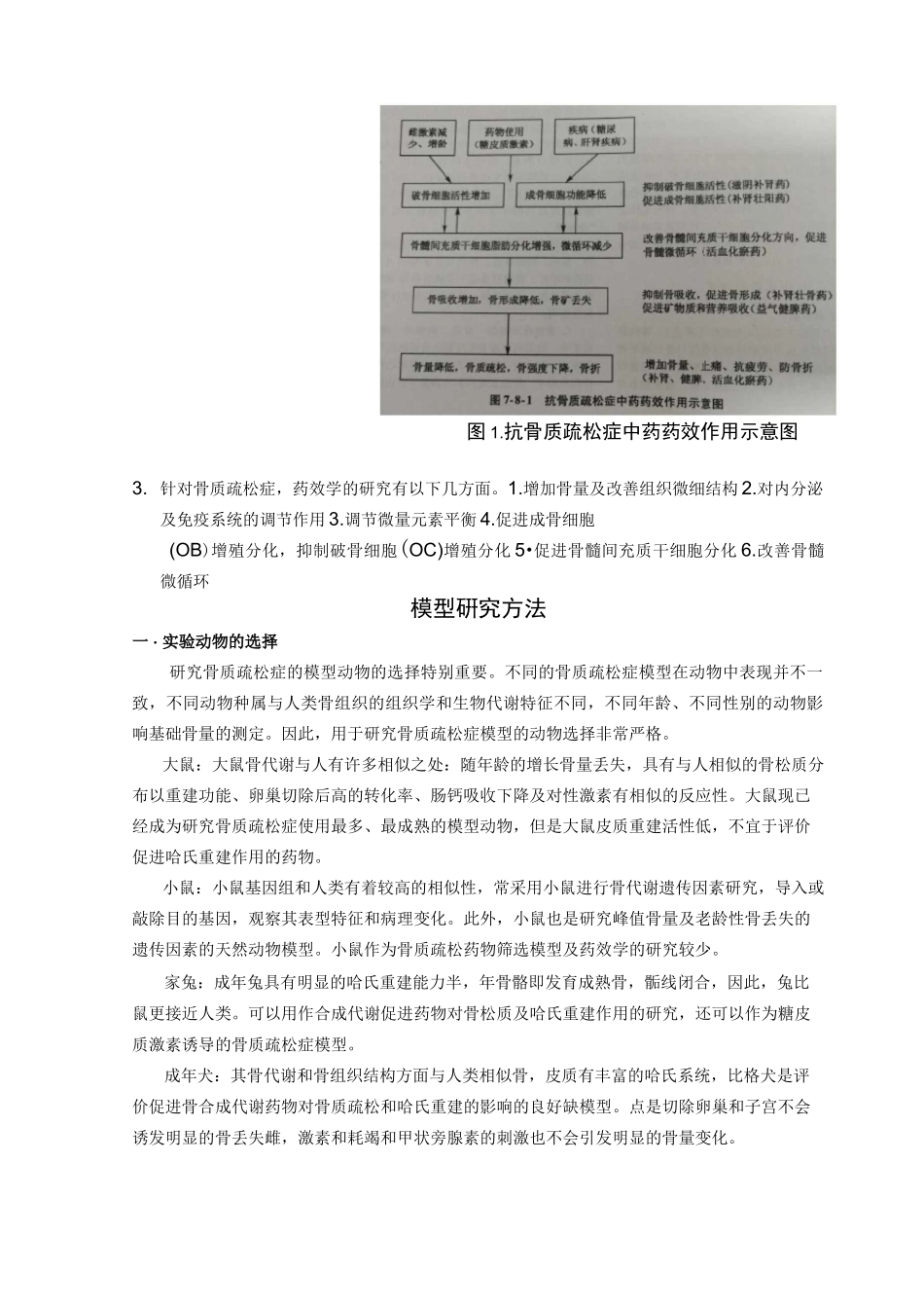 骨质疏松常见模型_第2页