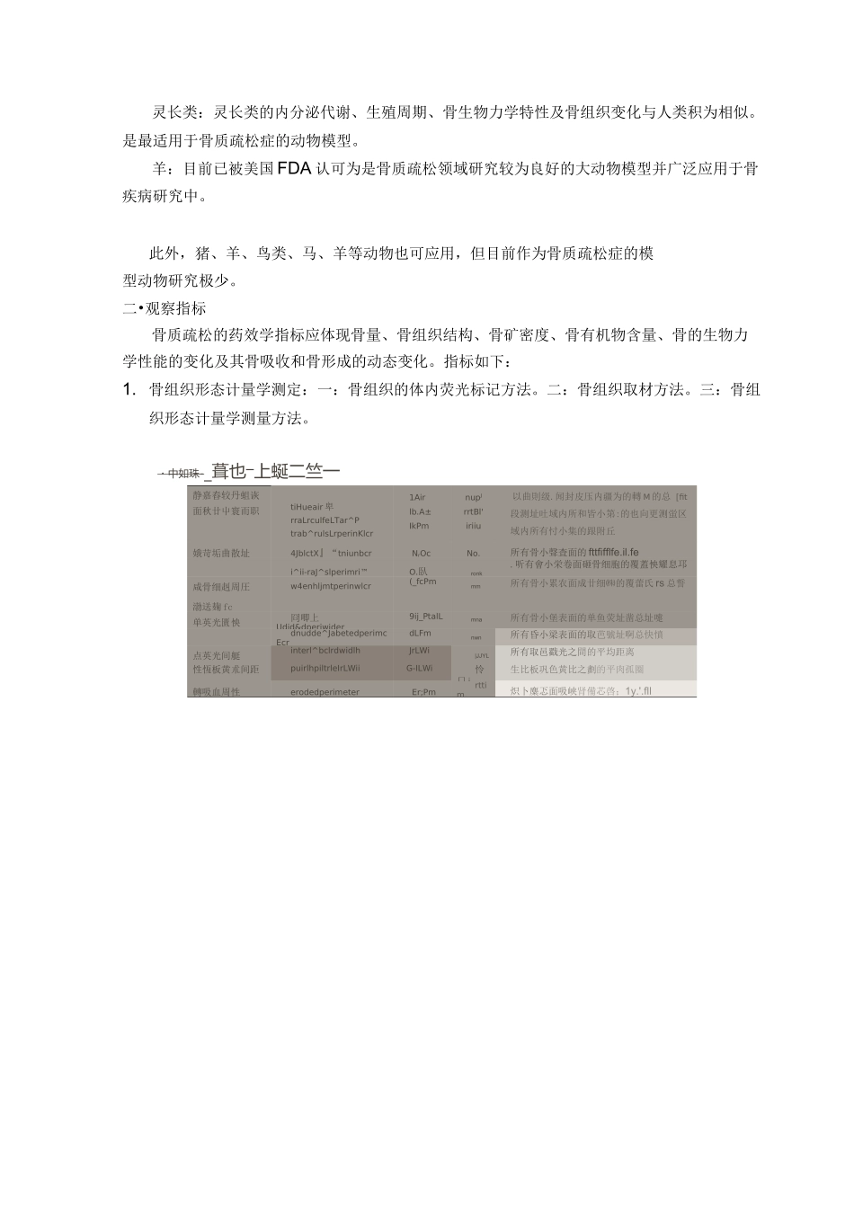 骨质疏松常见模型_第3页