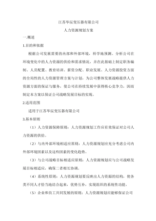 公司人力资源规划方案