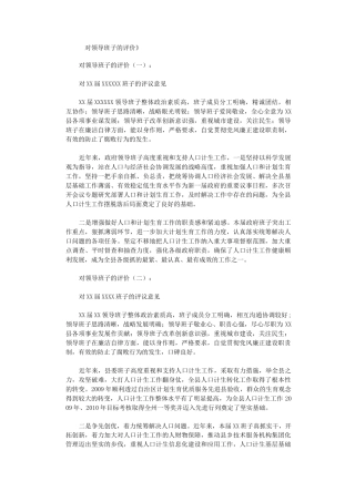 对领导班子的评价12篇