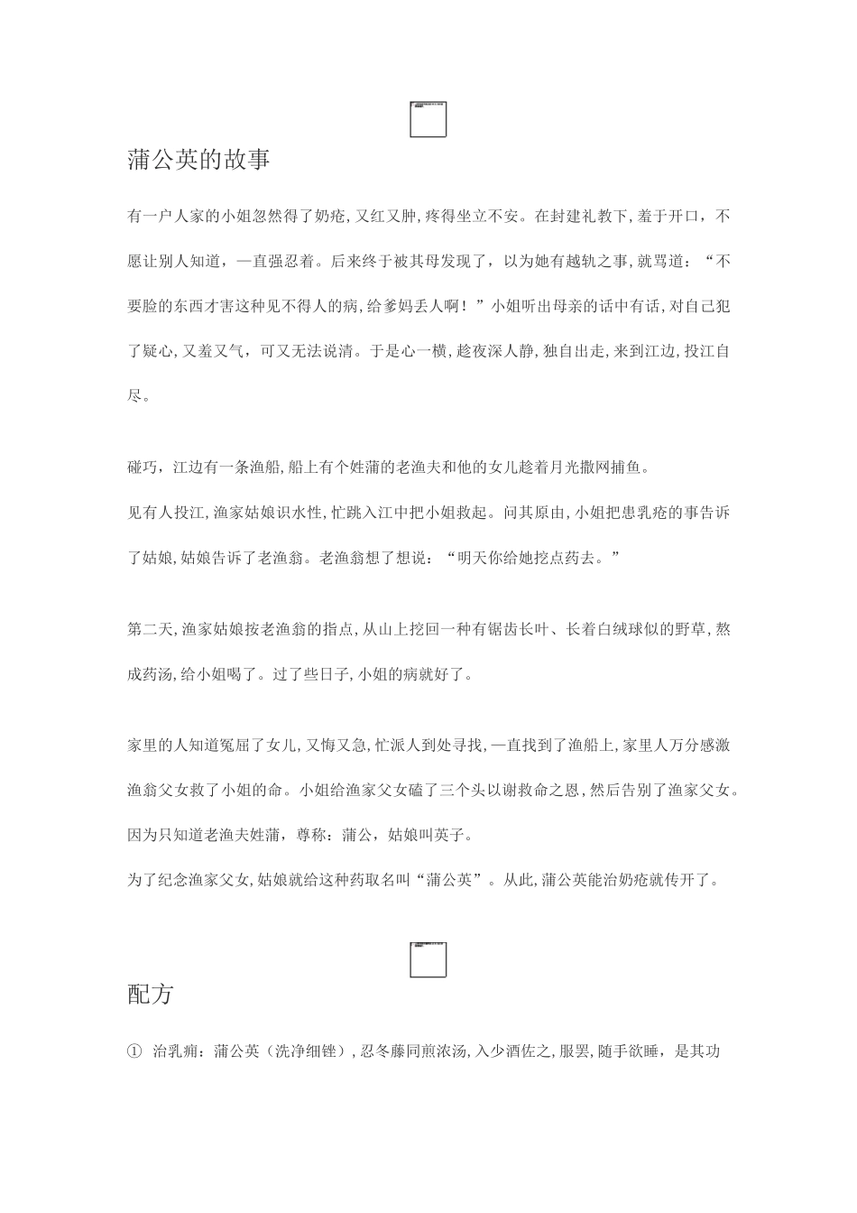 中草药蒲公英的故事_第2页