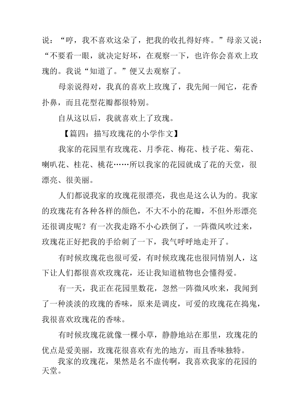 描写玫瑰花的小学作文集锦_第3页