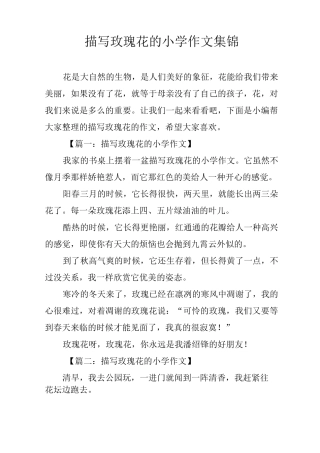 描写玫瑰花的小学作文集锦