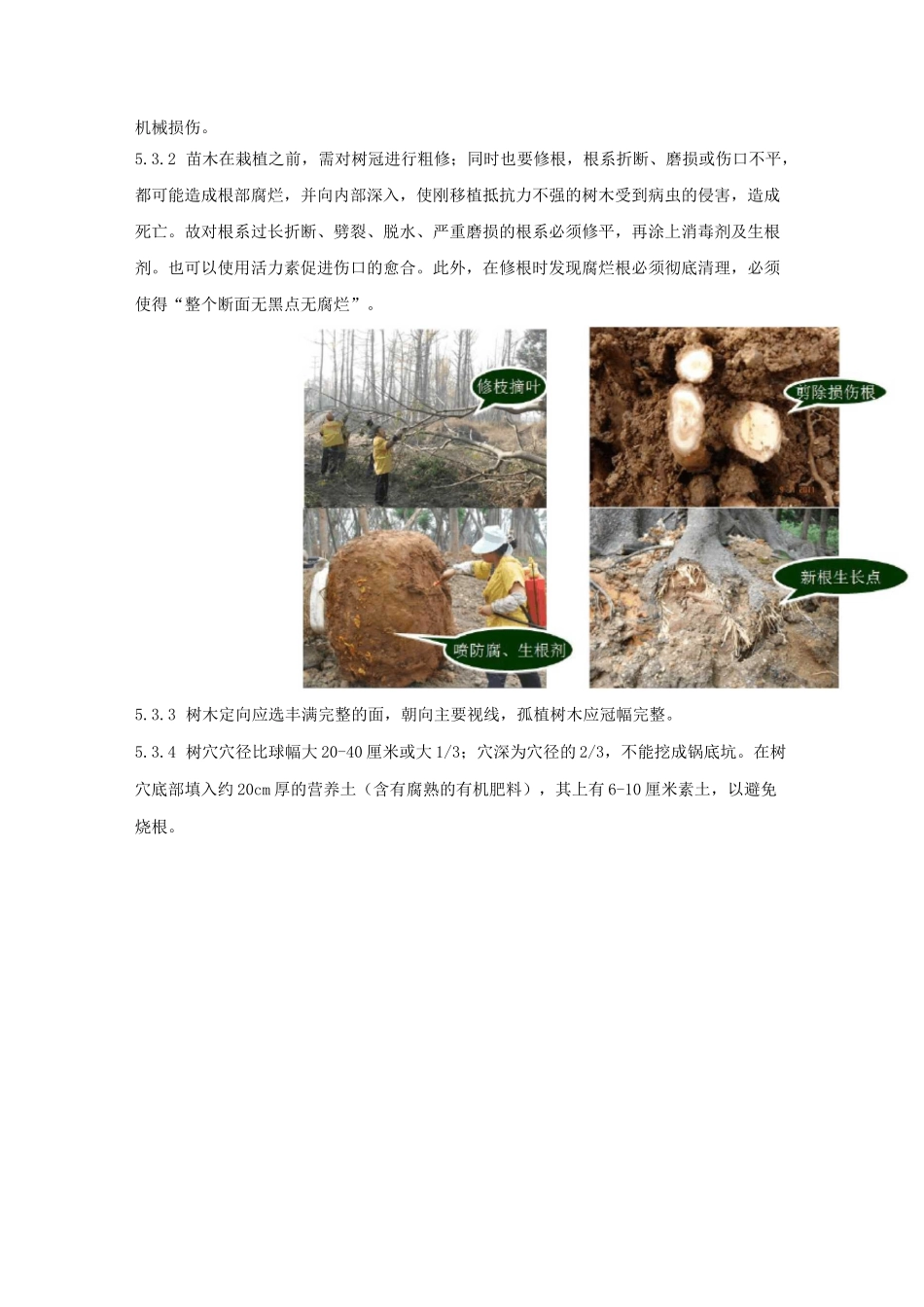 绿化施工要求(设计角度)_第3页