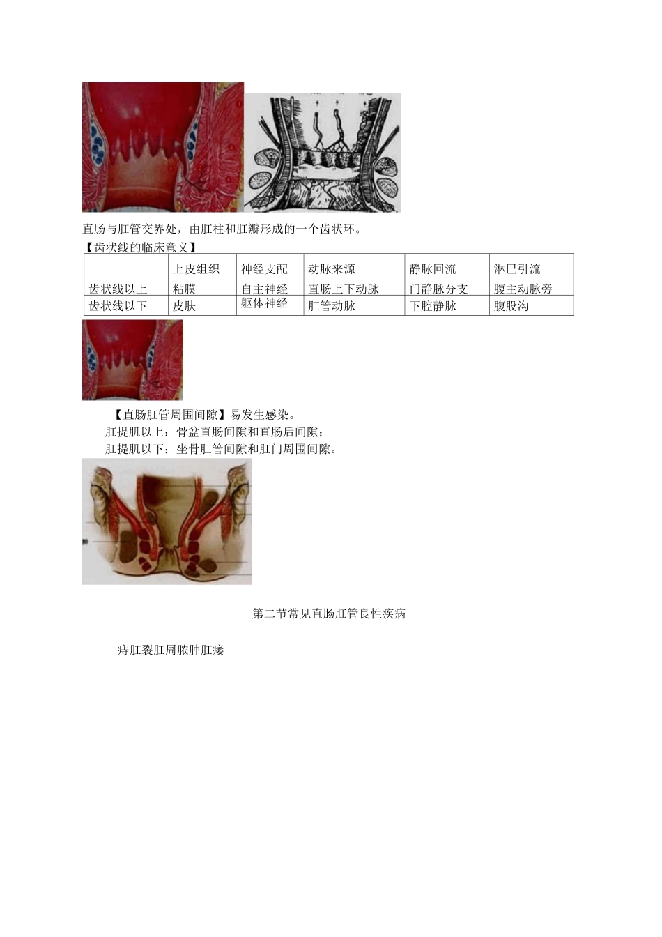 直肠肛管疾病病人的护理精华版_第2页
