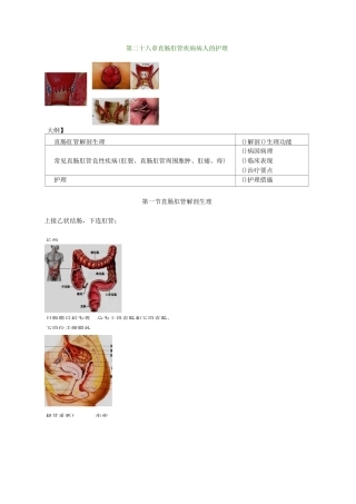 直肠肛管疾病病人的护理精华版