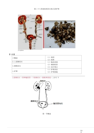 38章 泌尿系结石病人的护理