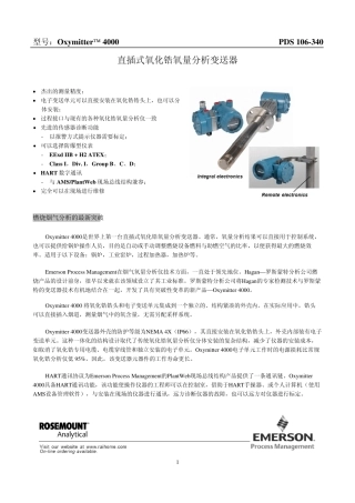直插式氧化锆氧量分析变送器