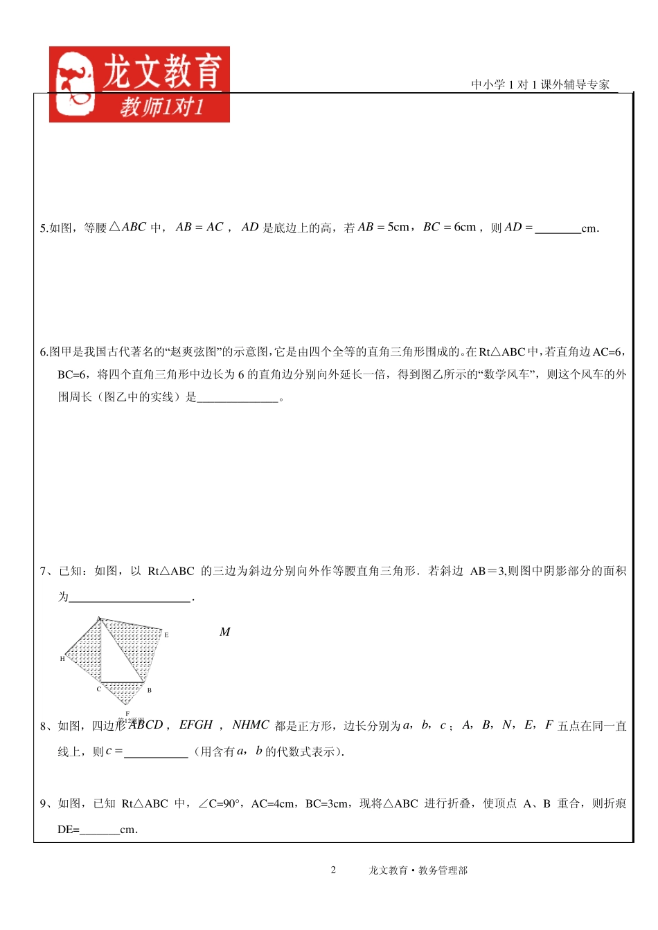 直角三角形拔高性讲义_第2页