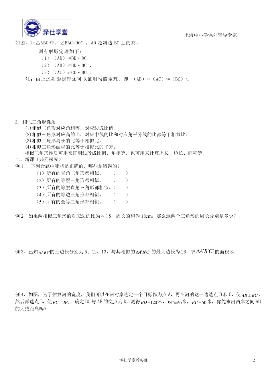 相似三角形的判定和性质讲义(丁鹏程)_第2页