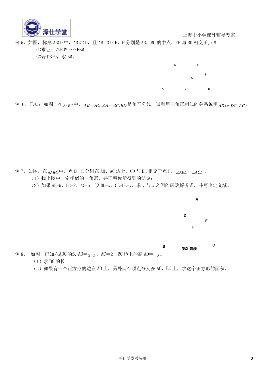 相似三角形的判定和性质讲义(丁鹏程)_第3页