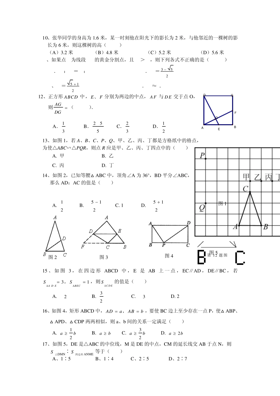 相似三角形综合复习_第2页