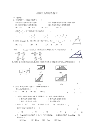 相似三角形综合复习