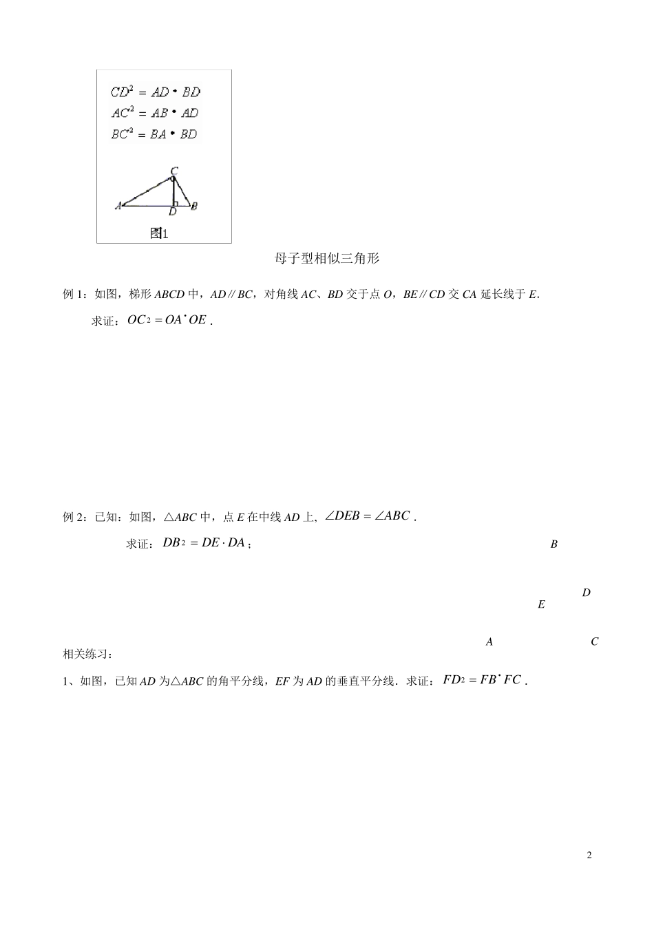 相似的基本模型教师版带答案_第2页
