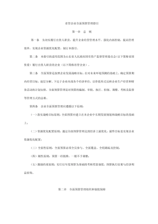 省管企业全面预算管理指引