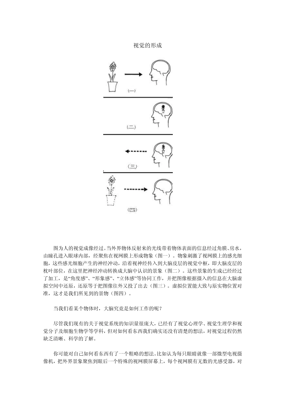 看眼睛是如何欺骗大脑的_第2页