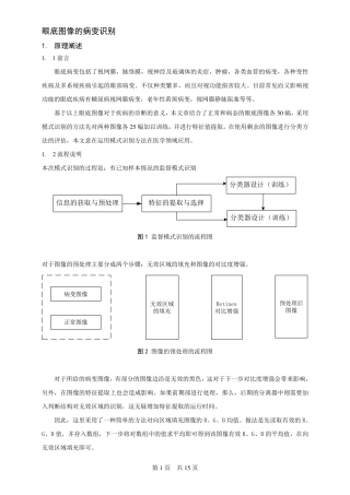 眼底图像的病变识别