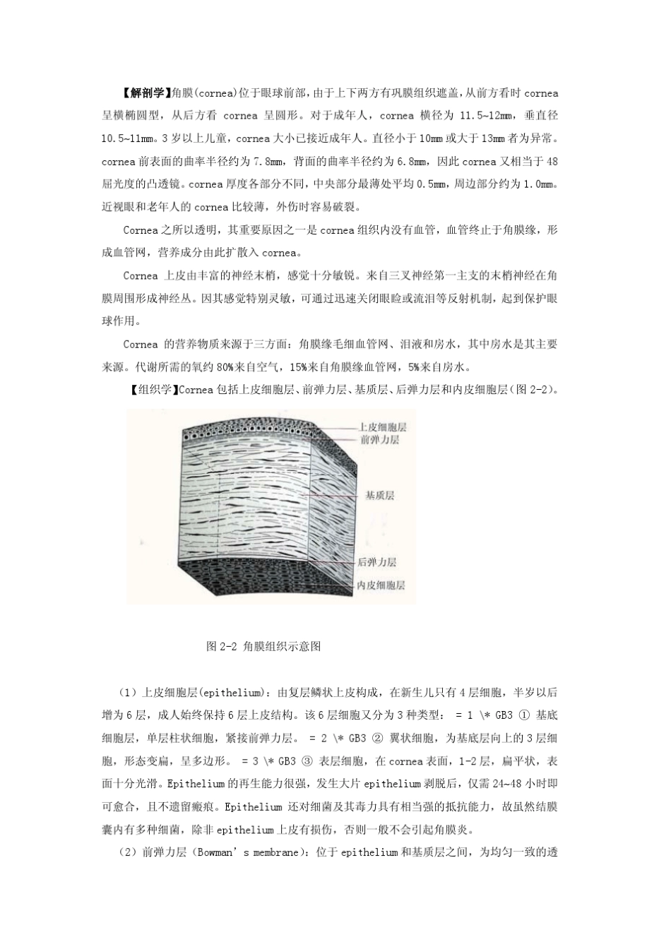 眼的解剖生理和胚胎发育_第2页
