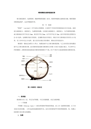 眼的解剖生理和胚胎发育