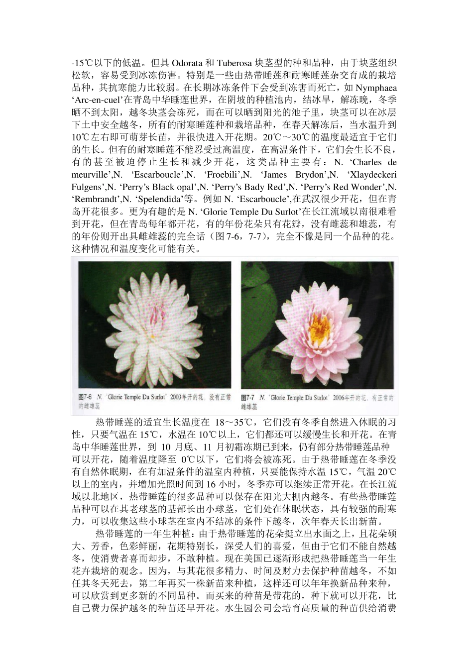 睡莲的栽培与管理技术_第3页