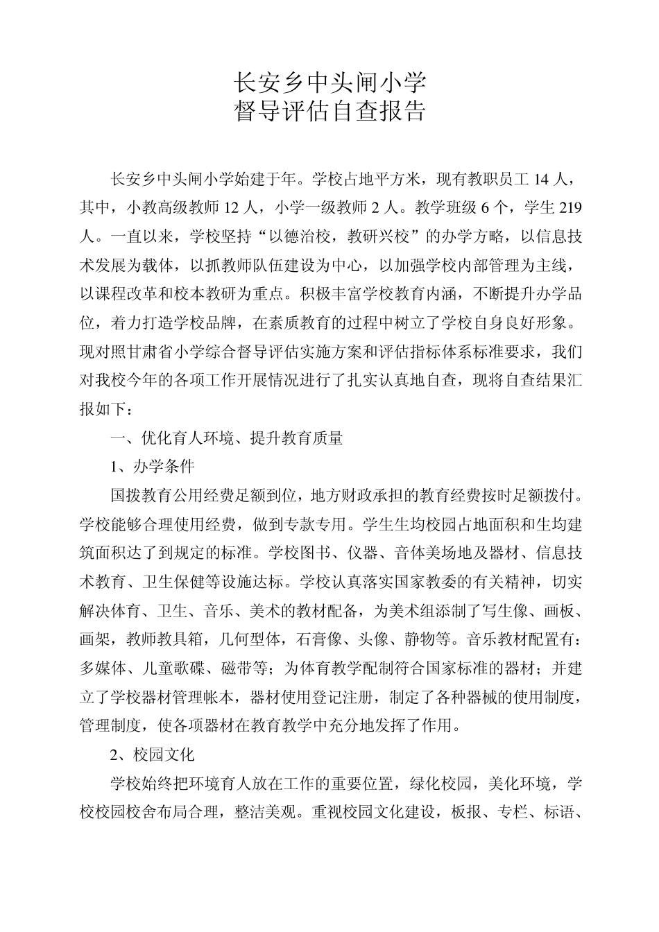 督导评估自查报告_第1页