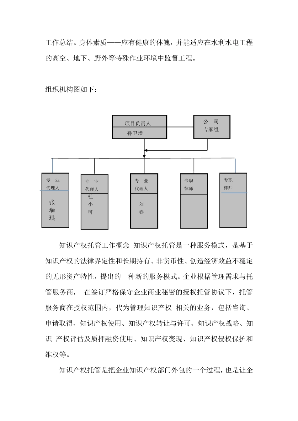 知识产权托管服务实施方案_第2页