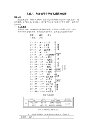 矩形波导中导行电磁波的观测