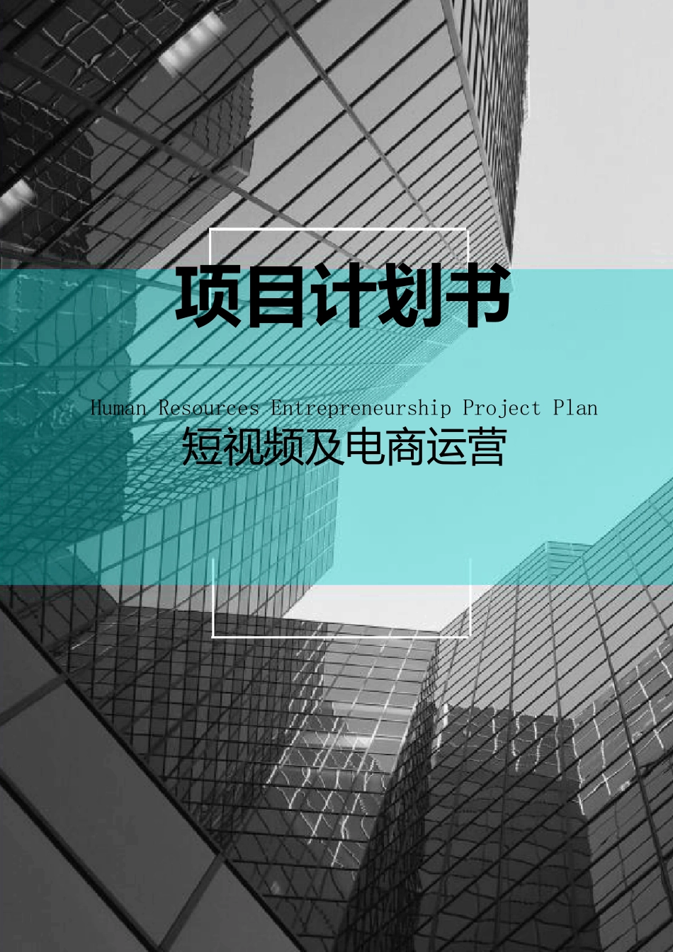 短视频及电商运营项目融资商业计划书_第1页