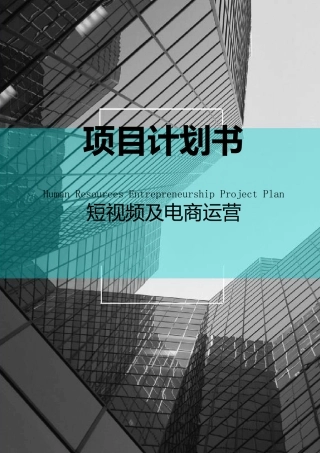 短视频及电商运营项目融资商业计划书
