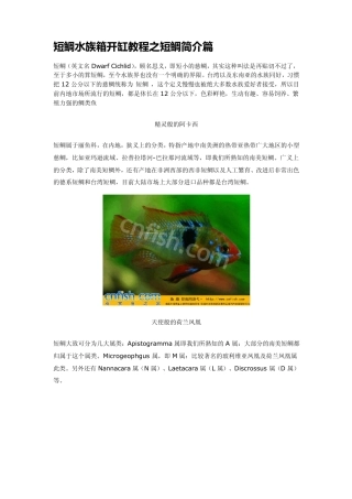 短鲷水族箱开缸教程之短鲷简介篇