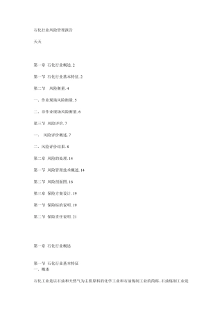 石化行业风险管理报告