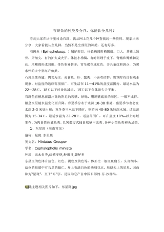 石斑种类介绍