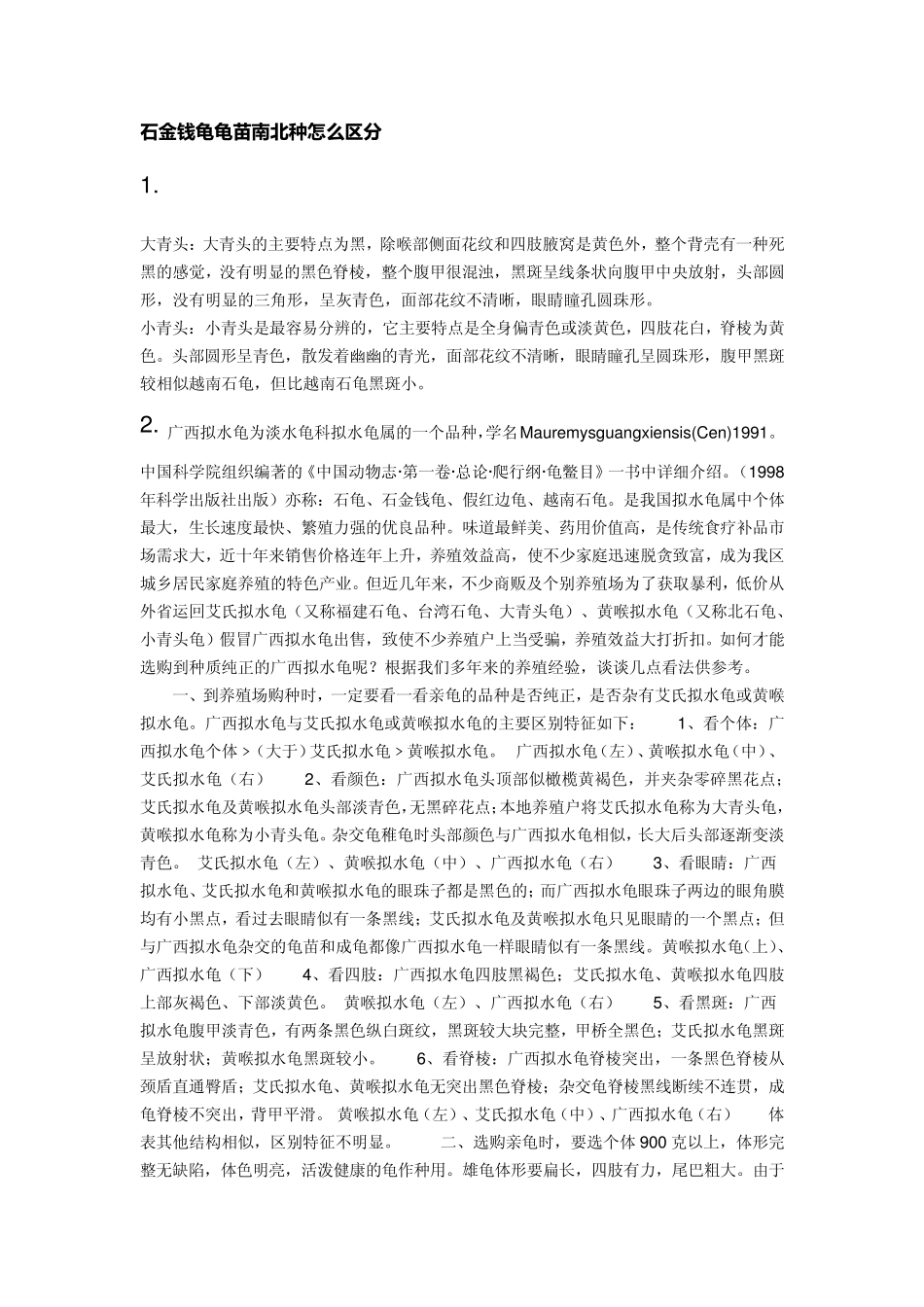 石金钱龟龟苗南北种怎么区分_第1页