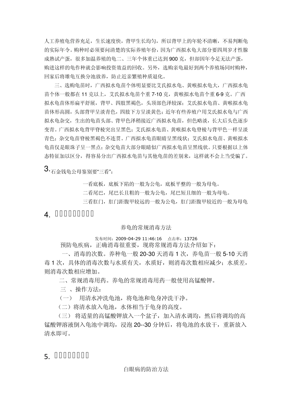 石金钱龟龟苗南北种怎么区分_第2页