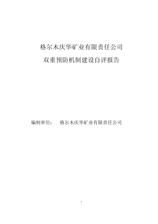 矿业公司双重预防机制自评报告