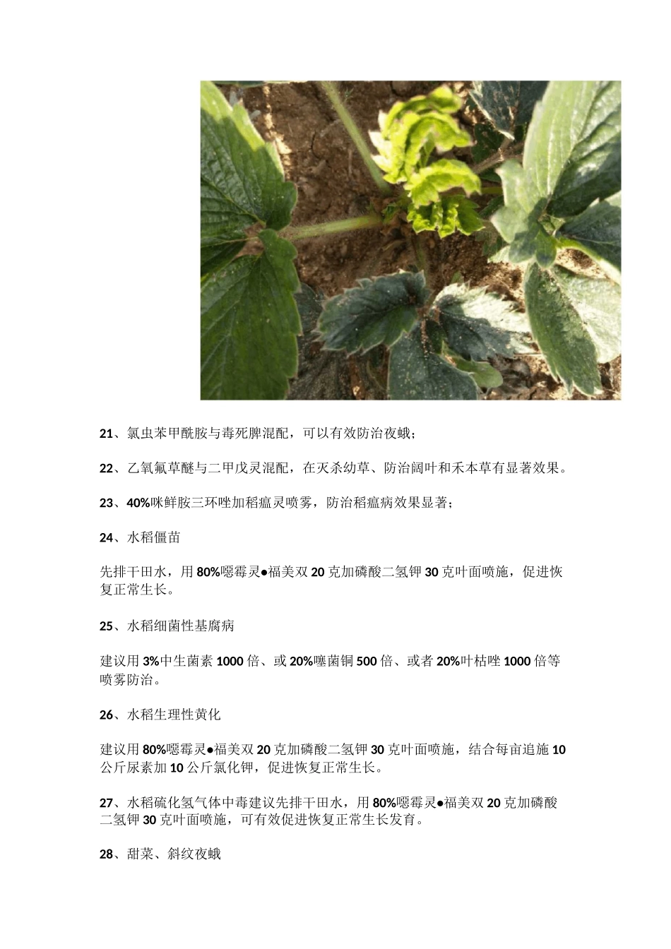 60个经典农药配方_第2页
