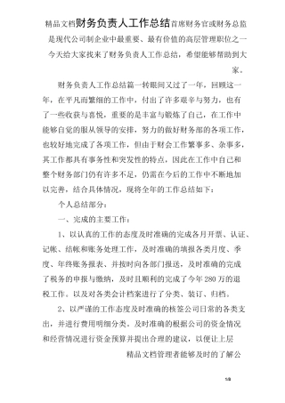 财务负责人工作总结