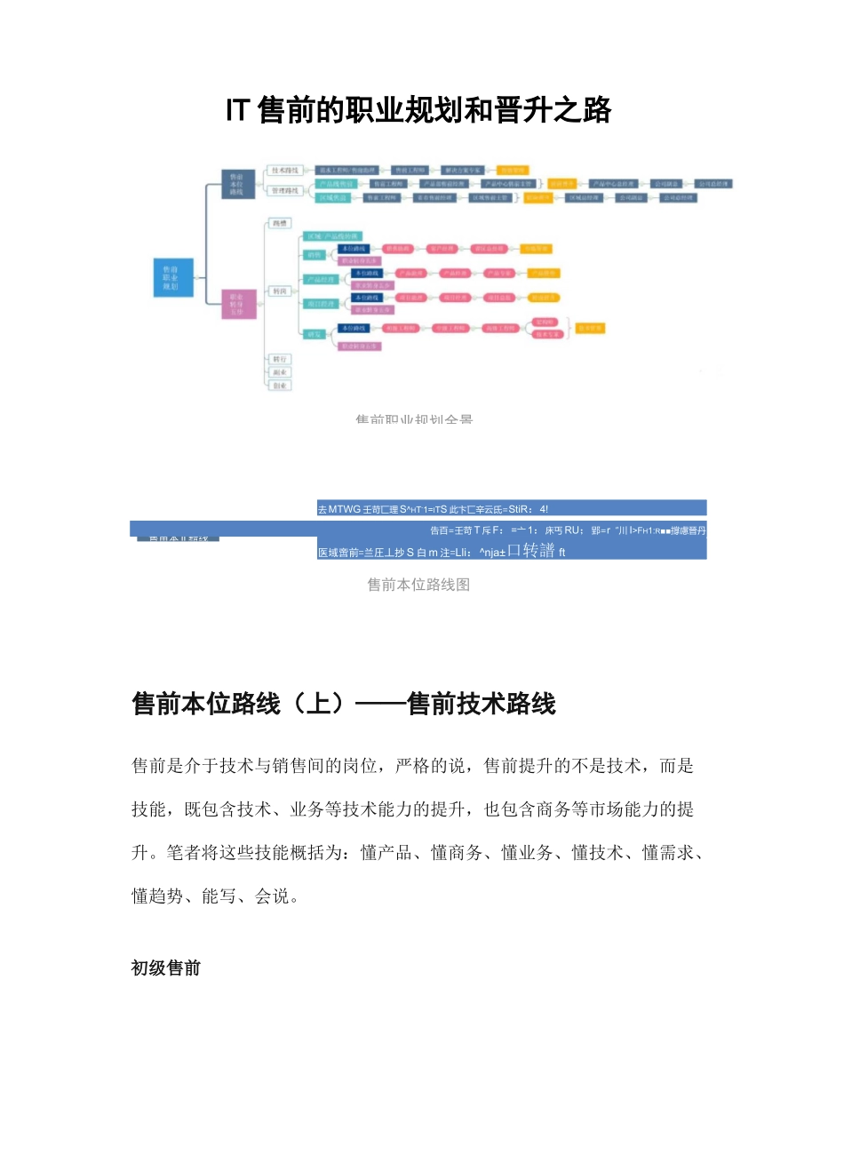 IT售前的职业规划和晋升之路_第1页