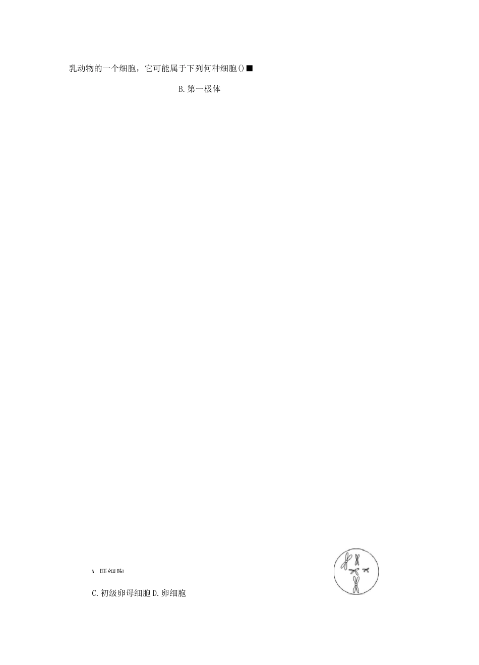 有丝分裂与减数分裂练习题有答案_第3页