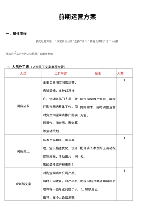 淘宝店前期运营策划书