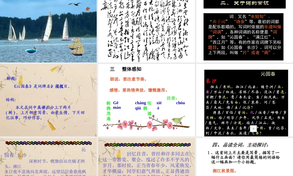 沁园春长沙教学课件