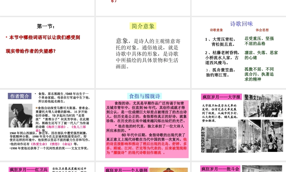 食指  相信未来