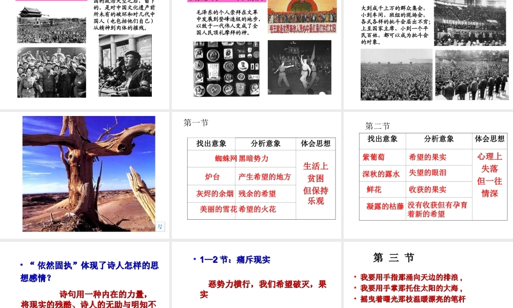 食指  相信未来