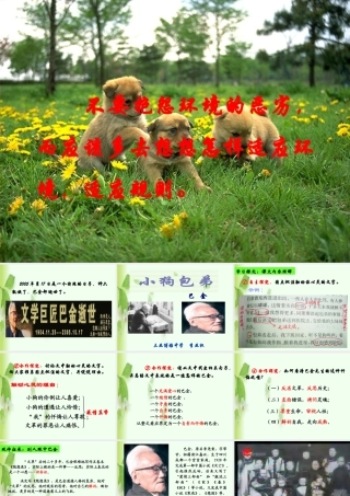 小狗包弟课件